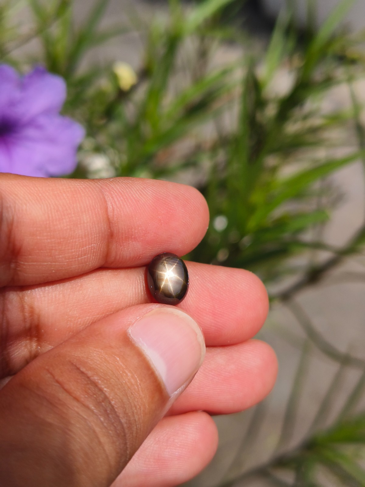 3.48 Cts A BEAUTIFUL NO HEAT BLACK STAR SAPPHIRE OF PERFECT 6 RAYS STAR ✨