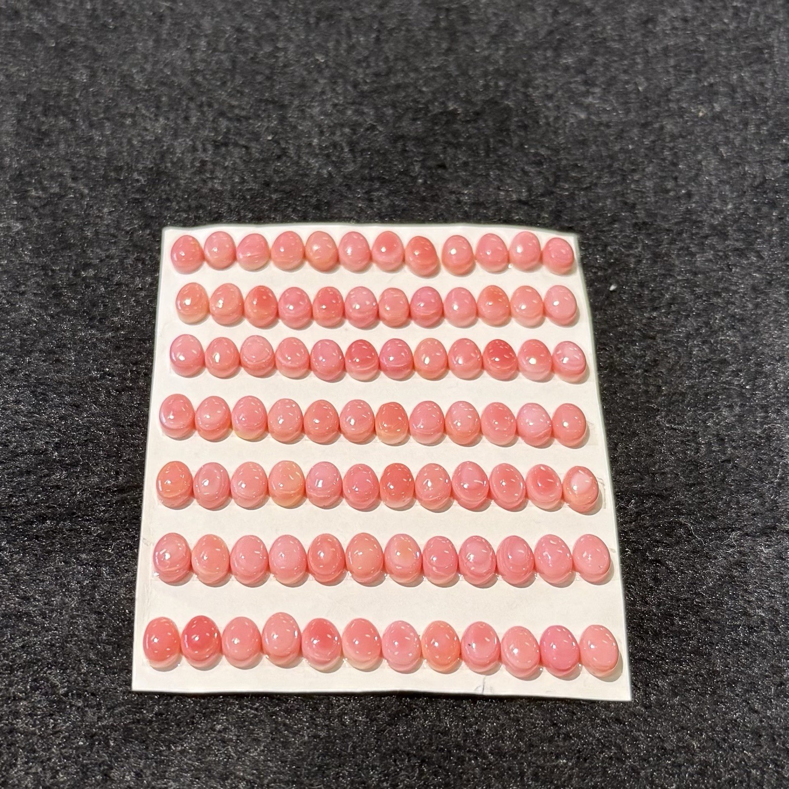 5×7 MM Conch Shell Oval Pink Natural Cabochons one pair or 2PCS.
