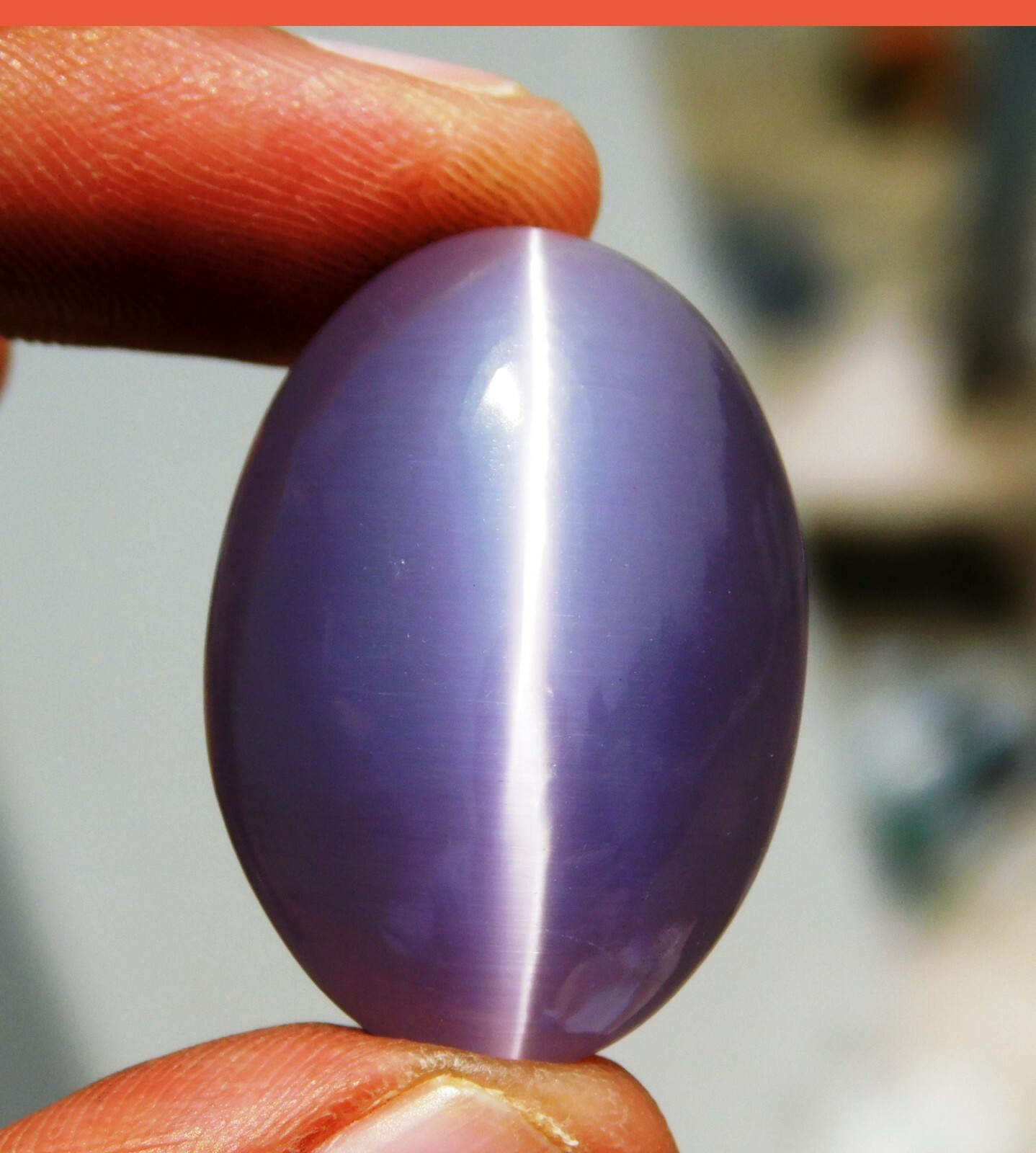 Natural 54 CT Beautiful Oval Cabochon Cut Bi-color Cats Eye Loose Gemstone