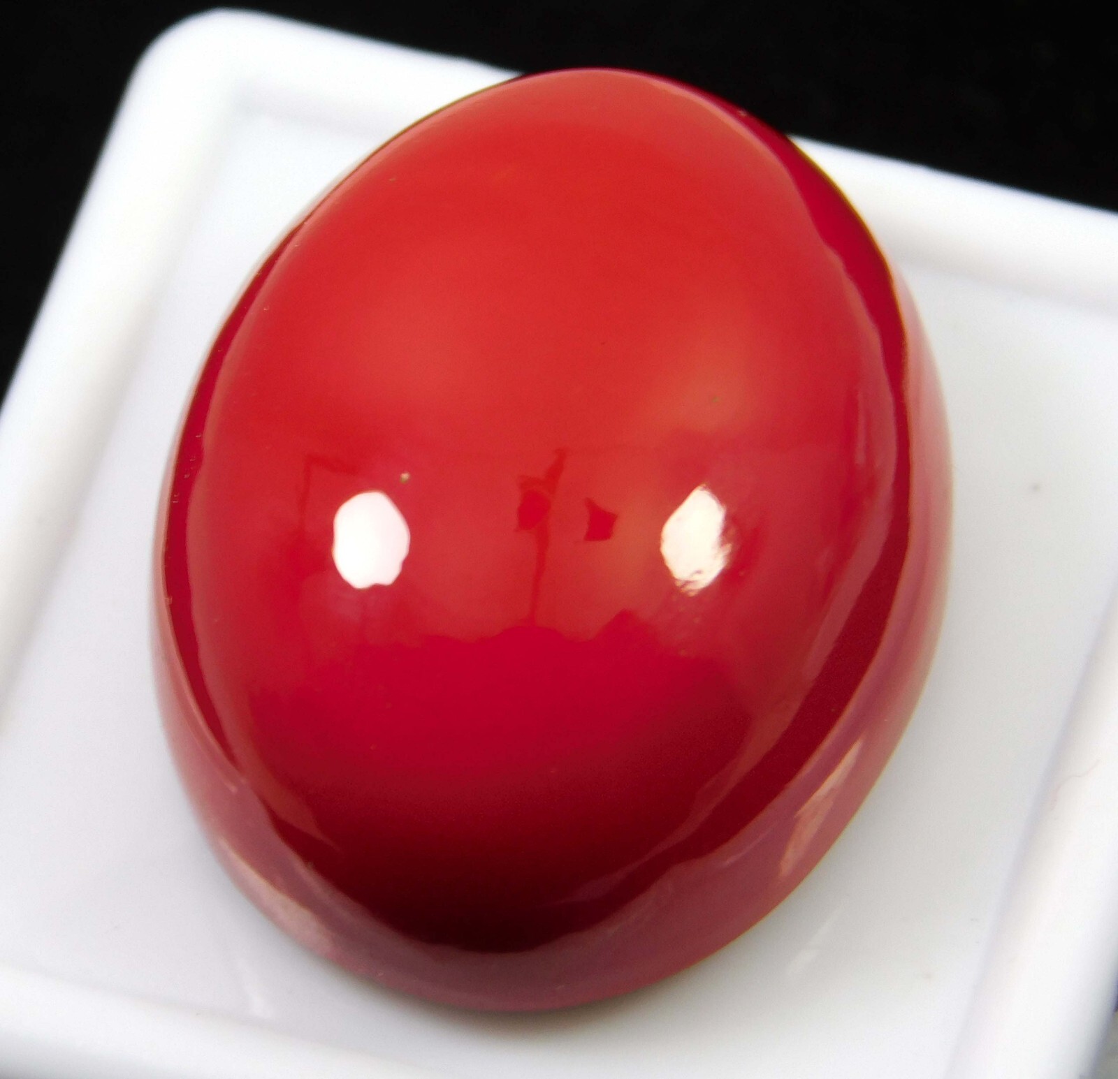 34.45 Ct Natural Italian Red Coral Oval Cabochon Cut Loose Gemstone