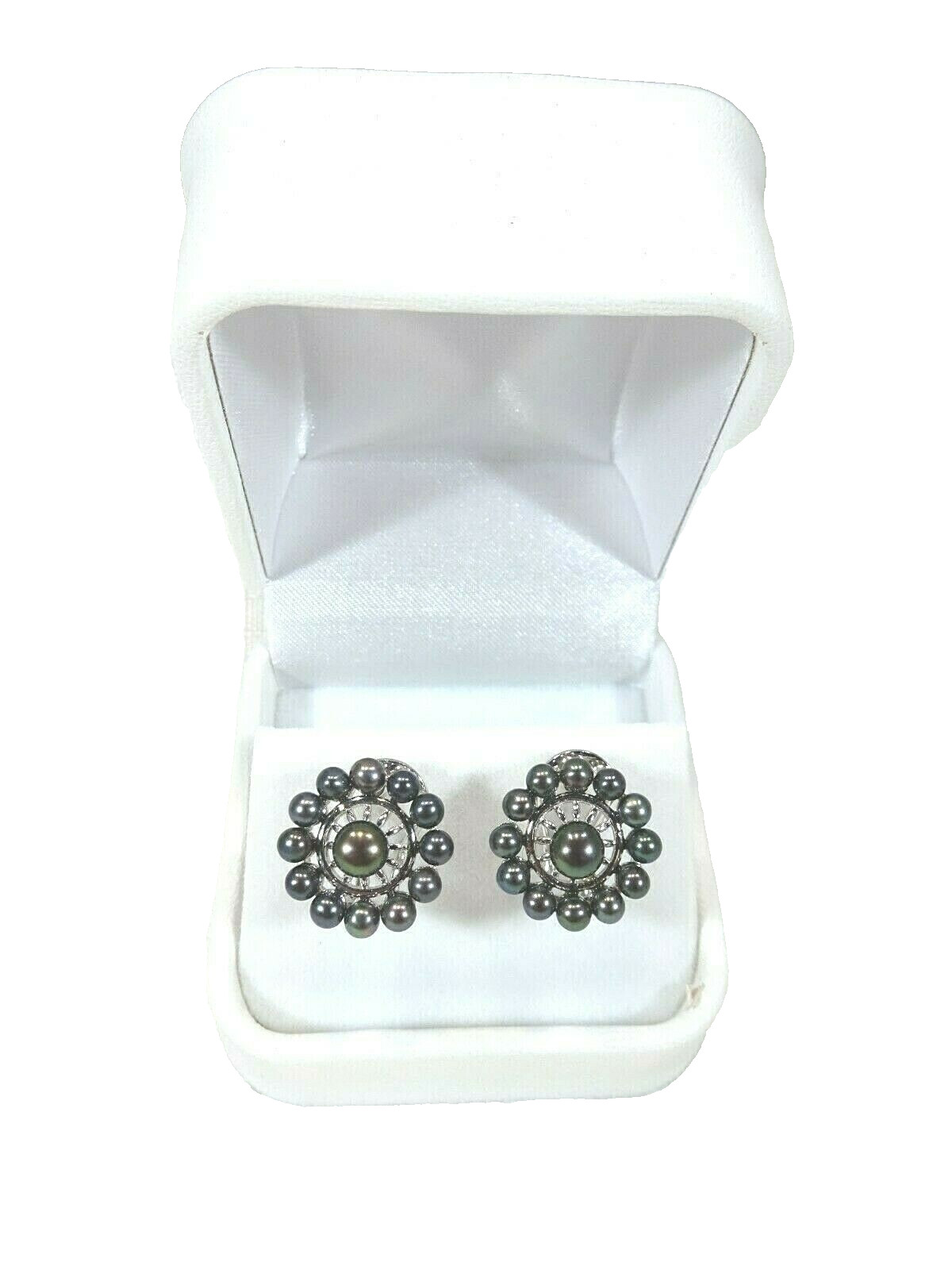 Cultured Freshwater Black Pearl Solid Sterling Silver Omega Back Earrings