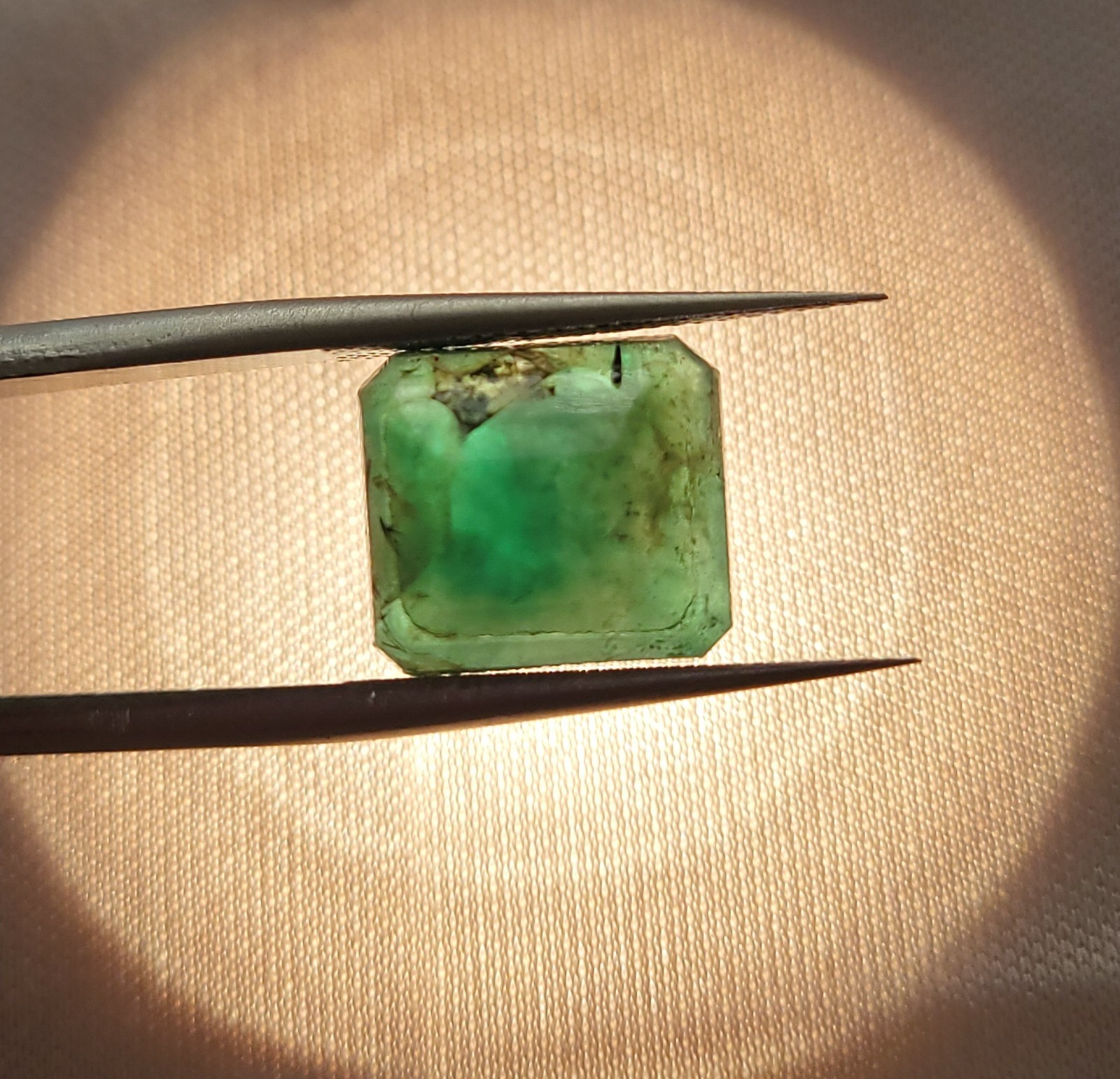 Natural Untreated Certified Translucent Green Zambian Emerald 11x10mm 6.90ct