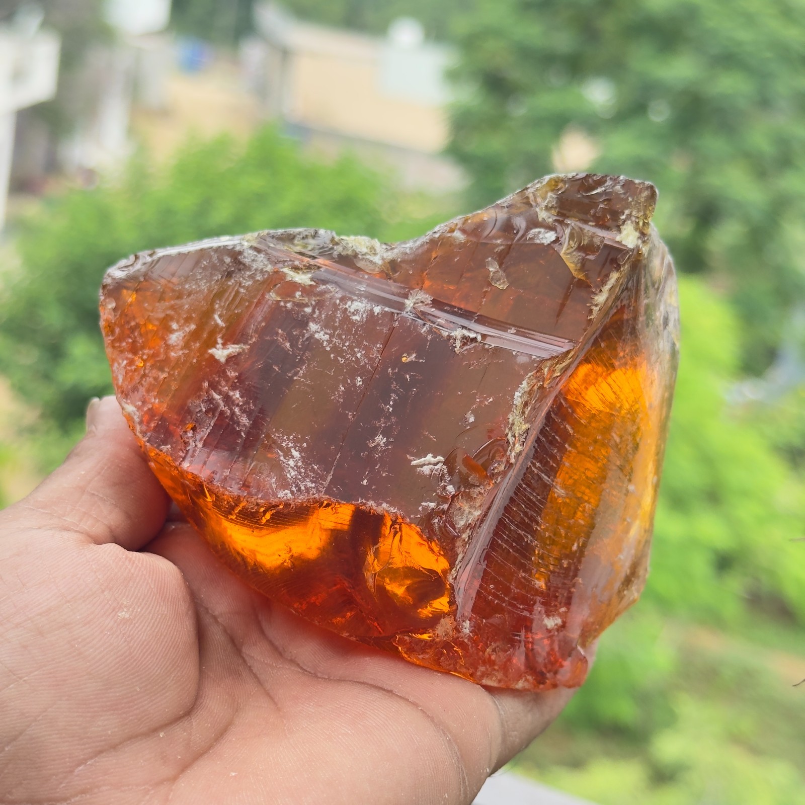 Certified 1620 Ct Natural Amber Rough – Translucent Raw Gemstone from Lithuania