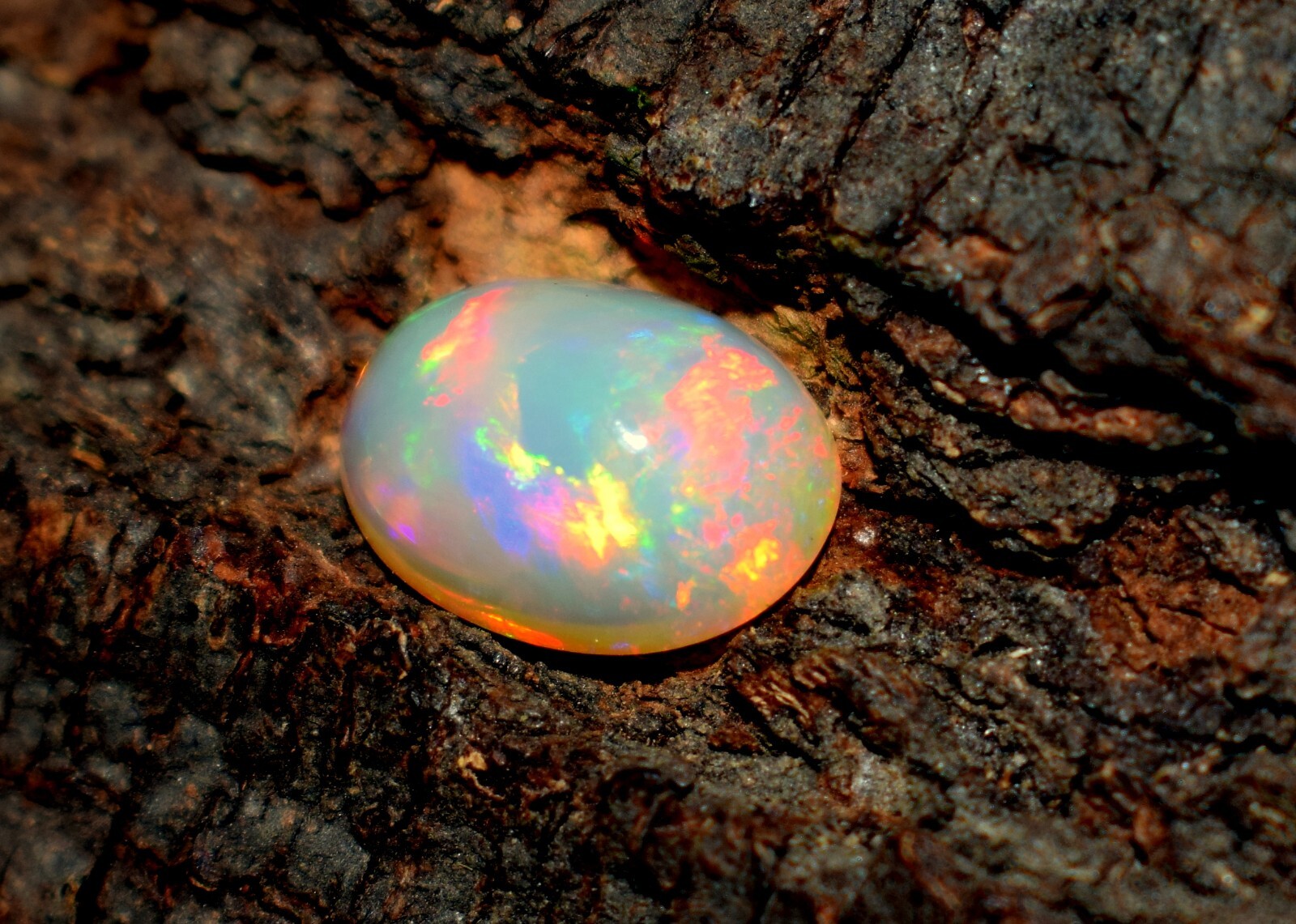Ethiopian Opal Welo Fire Opal Cabochon 13×9.5×5.4 mm Loose Gemstone Gift F3372