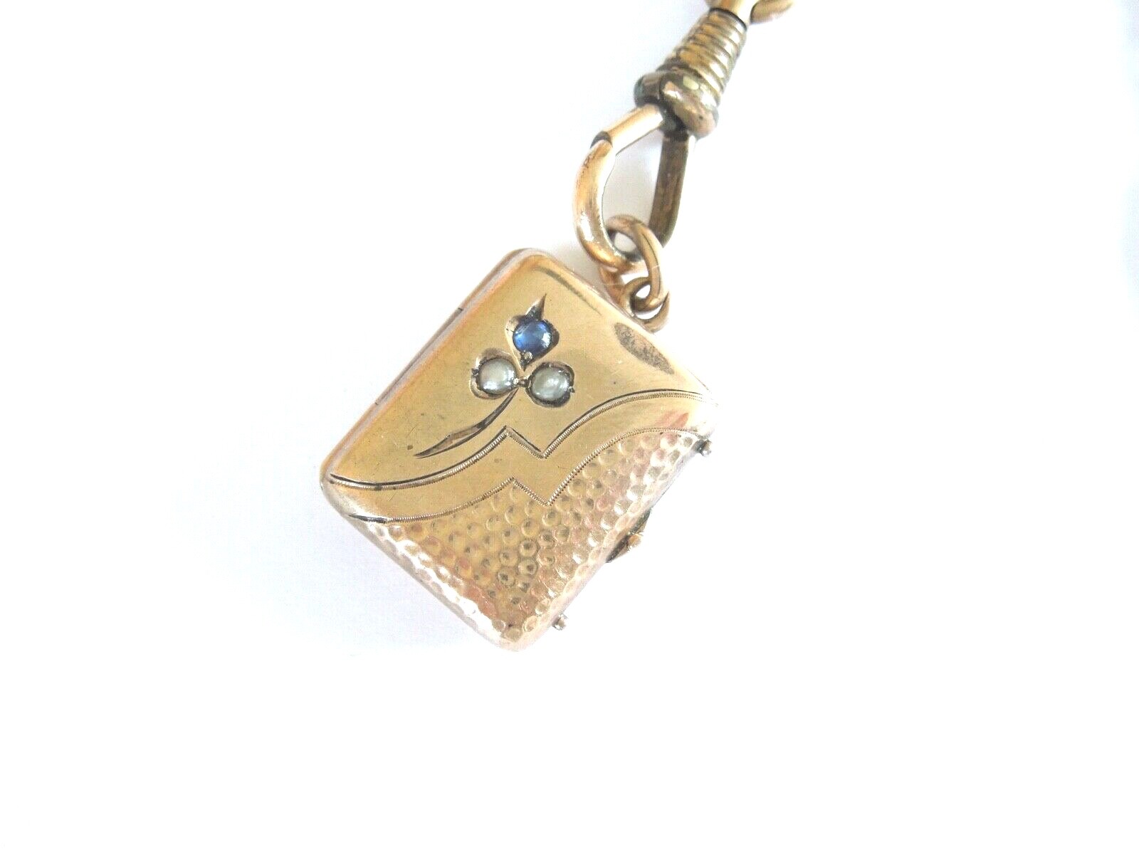 Old Gilded Hinge Watch Chain With Photo Medallion, Pendant 21.9 G/Approx. 28 Cm