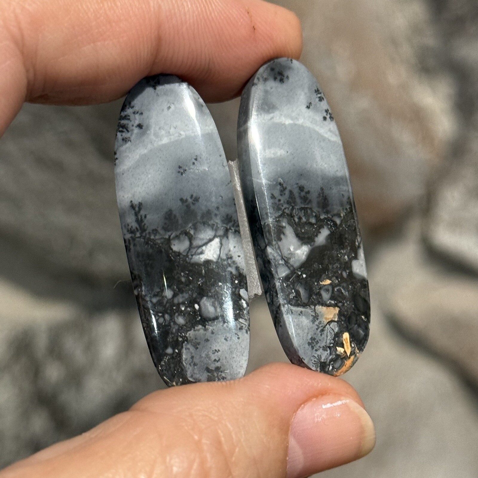 59ct 41×14.5×4.8mm Pair Fine Gray Scenic Oval Picture Maligano Jasper Cabochons