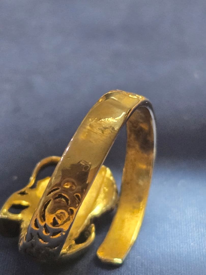 Dragon motif ring comes with a dragon case