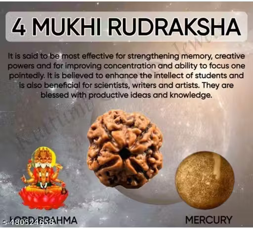 RUDRAKSHA PENDANT NECKLACE 4 Mukhi Nepali Rudraksha Four Face Rudraksh Pendant