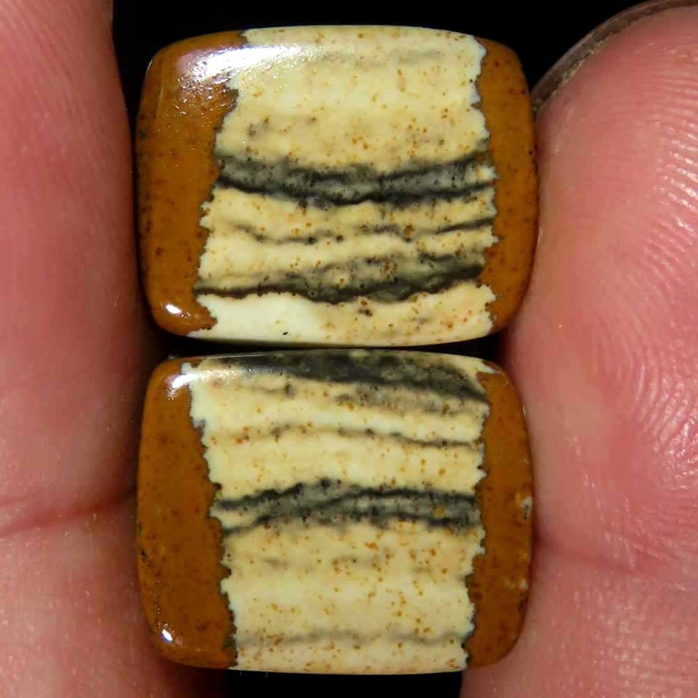 15.90Cts.100%Natural Designer Picture Jasper Cushion 12x15x4mm cab Pair Gems