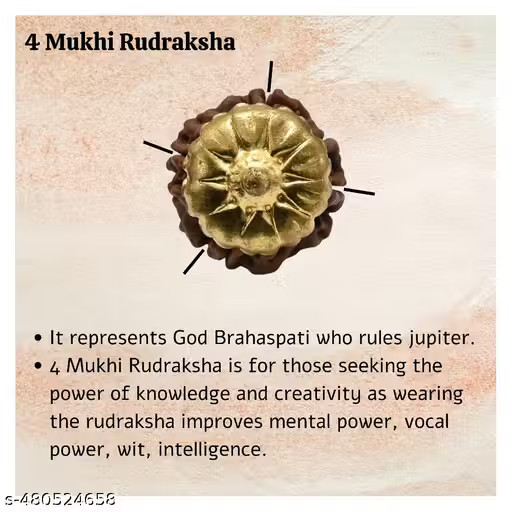 RUDRAKSHA PENDANT NECKLACE 4 Mukhi Nepali Rudraksha Four Face Rudraksh Pendant