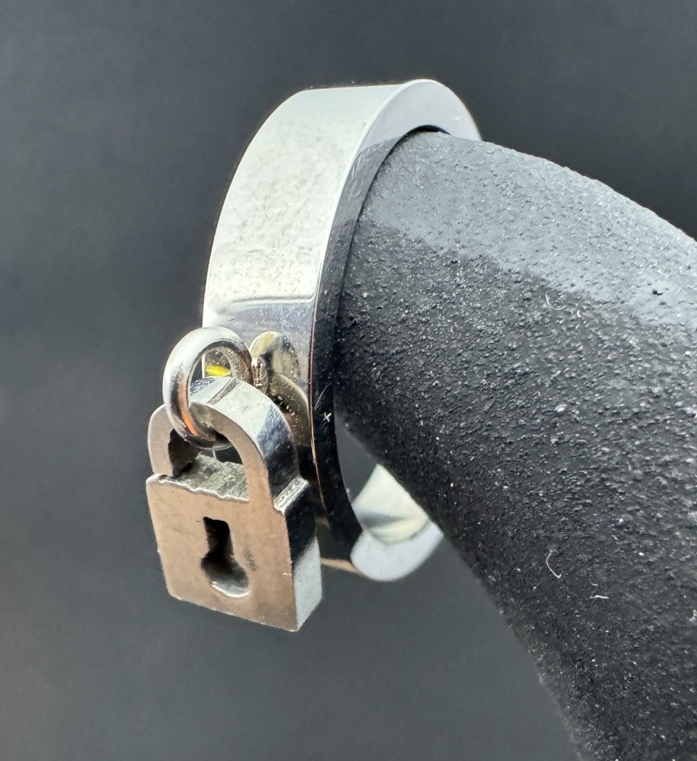 Lock Dangle Charm Ring Stainless Steel 6mm Band Width