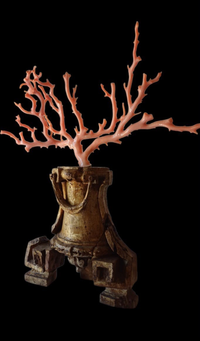 ANTIQUE CORAL BRANCH WITH GILDED WOODEN BASE