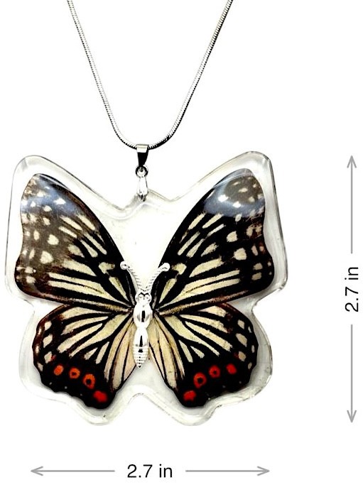 2 1/2″ NEW! Real INSECT White Black RED BUTTERFLY NECKLACE Jewelry PENDANT