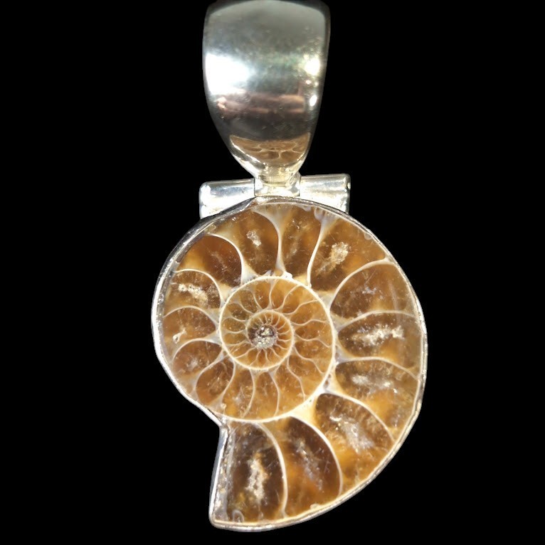 Vintage Ammonite Fossil Pendant 925 Sterling Silver Bezel Spiral Shell 1.75″