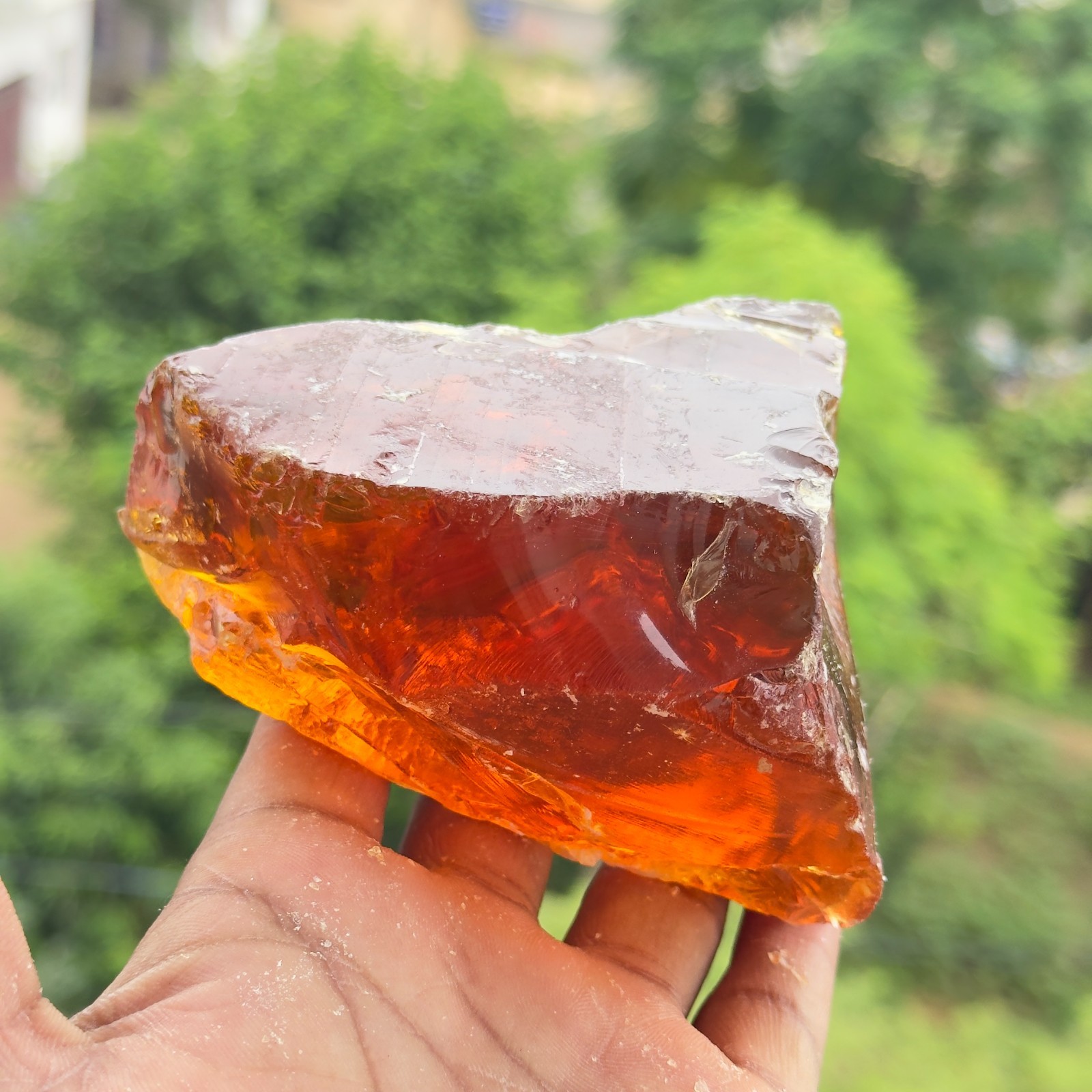 Certified 1620 Ct Natural Amber Rough – Translucent Raw Gemstone from Lithuania