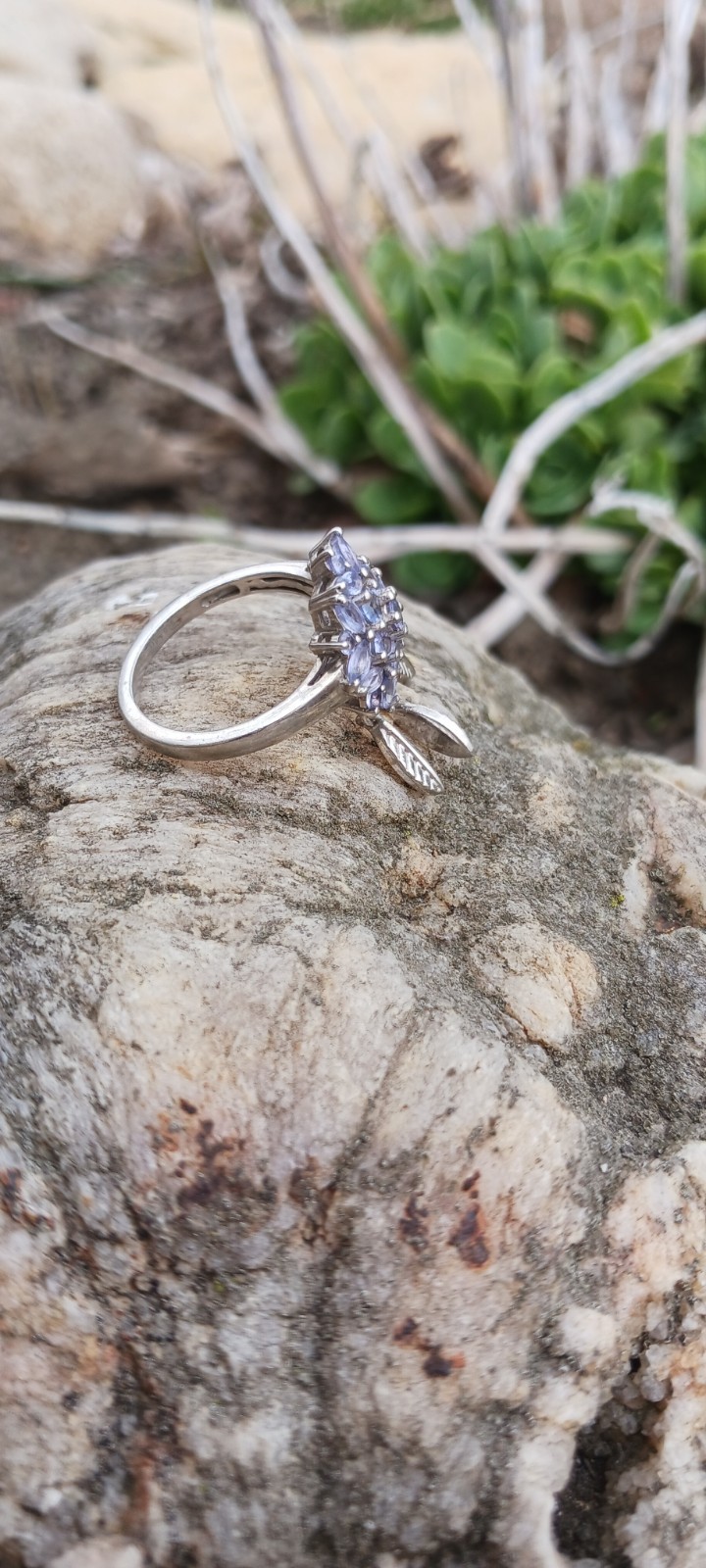 Tanazanite Dream Catcher Ring SZ8. In Rhodium Over Sterling Silver 1.90ctw