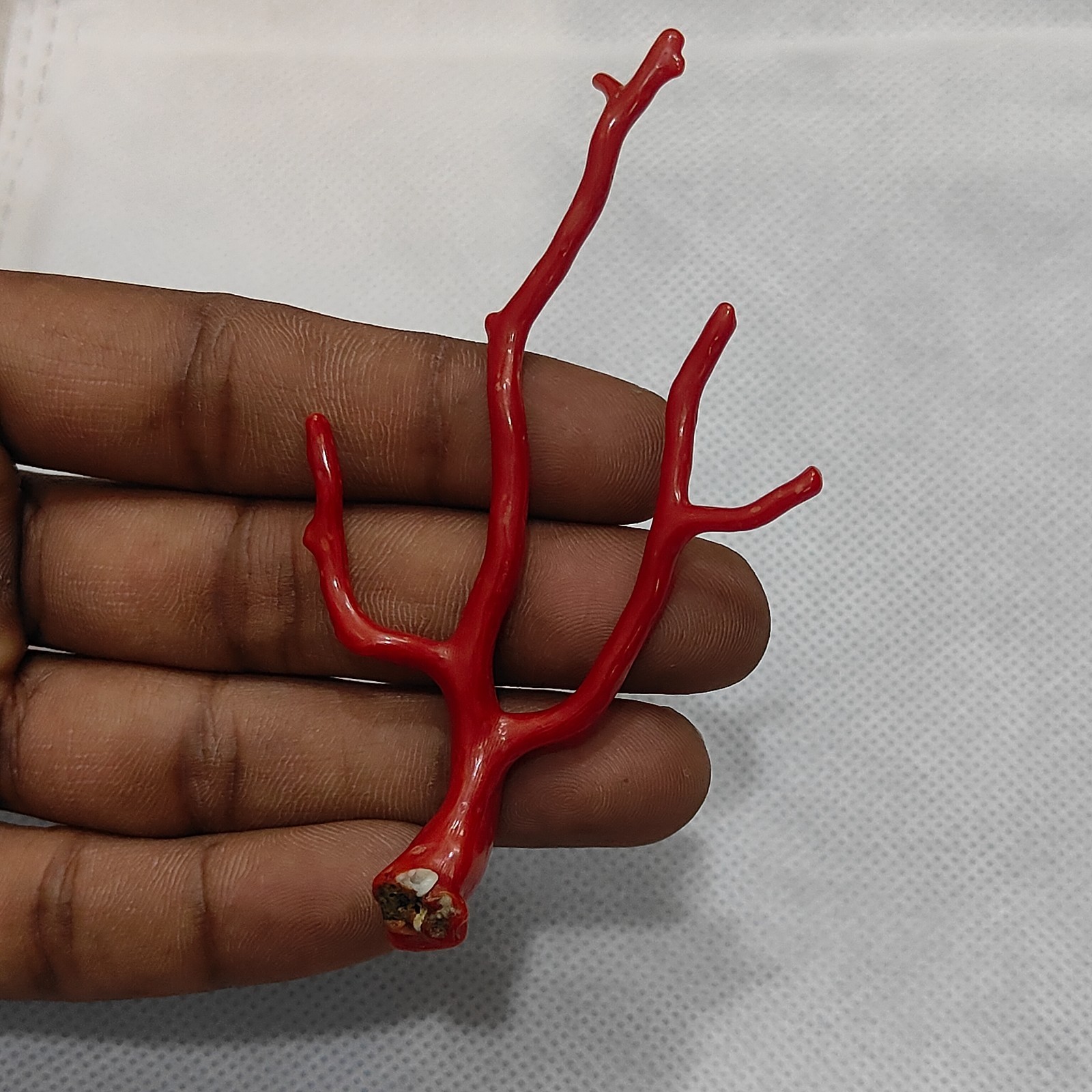 Top Quality Red Coral Tree Branch Gemstone-Mediterranean Red Coral Polish Branch