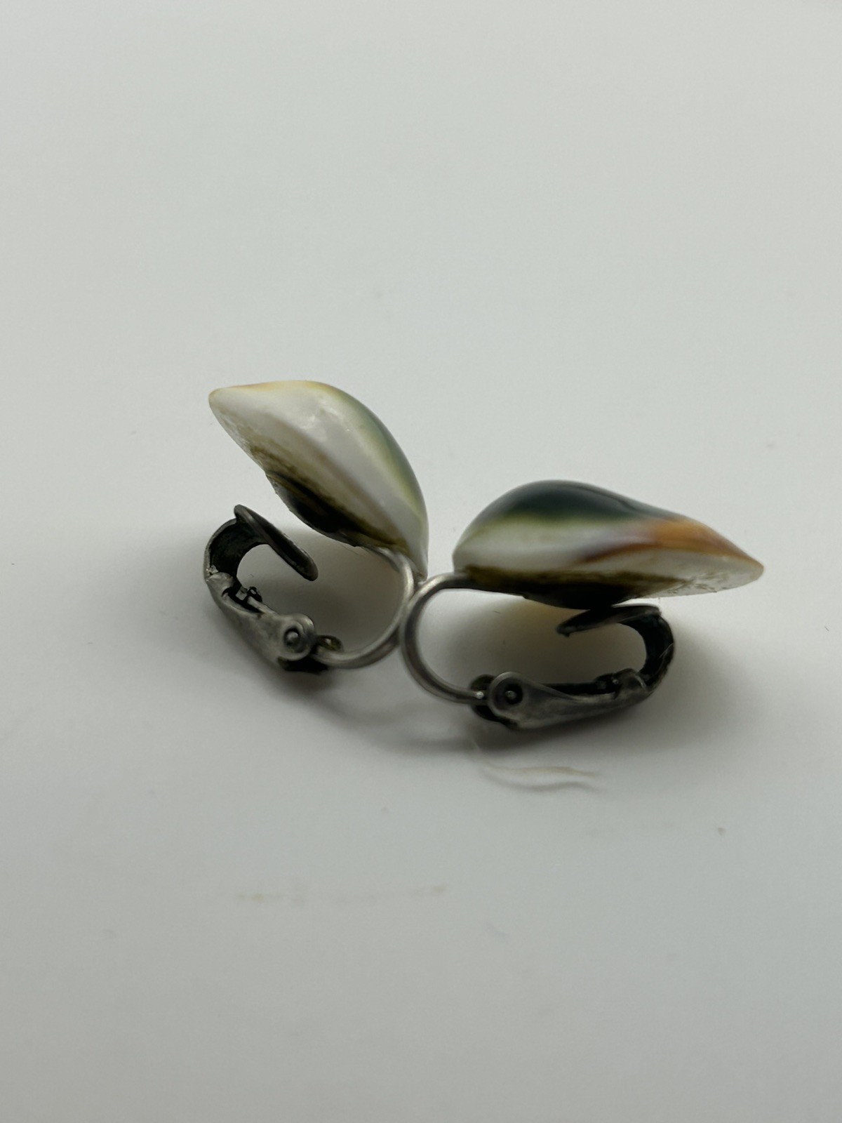Vintage Art Deco Operculum Shell Cat’s shiva Eye clipon Earrings western Germany