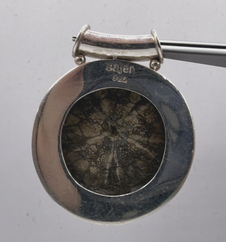 SAJEN Sterling Silver Fossilized Sand Dollar Circle Pendant w/ Onyx [076DUR]