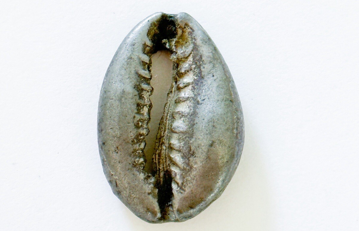 Vintage Pewter Dipped Cowrie Shell Pendant Surfer Skater Jewelry 90’s