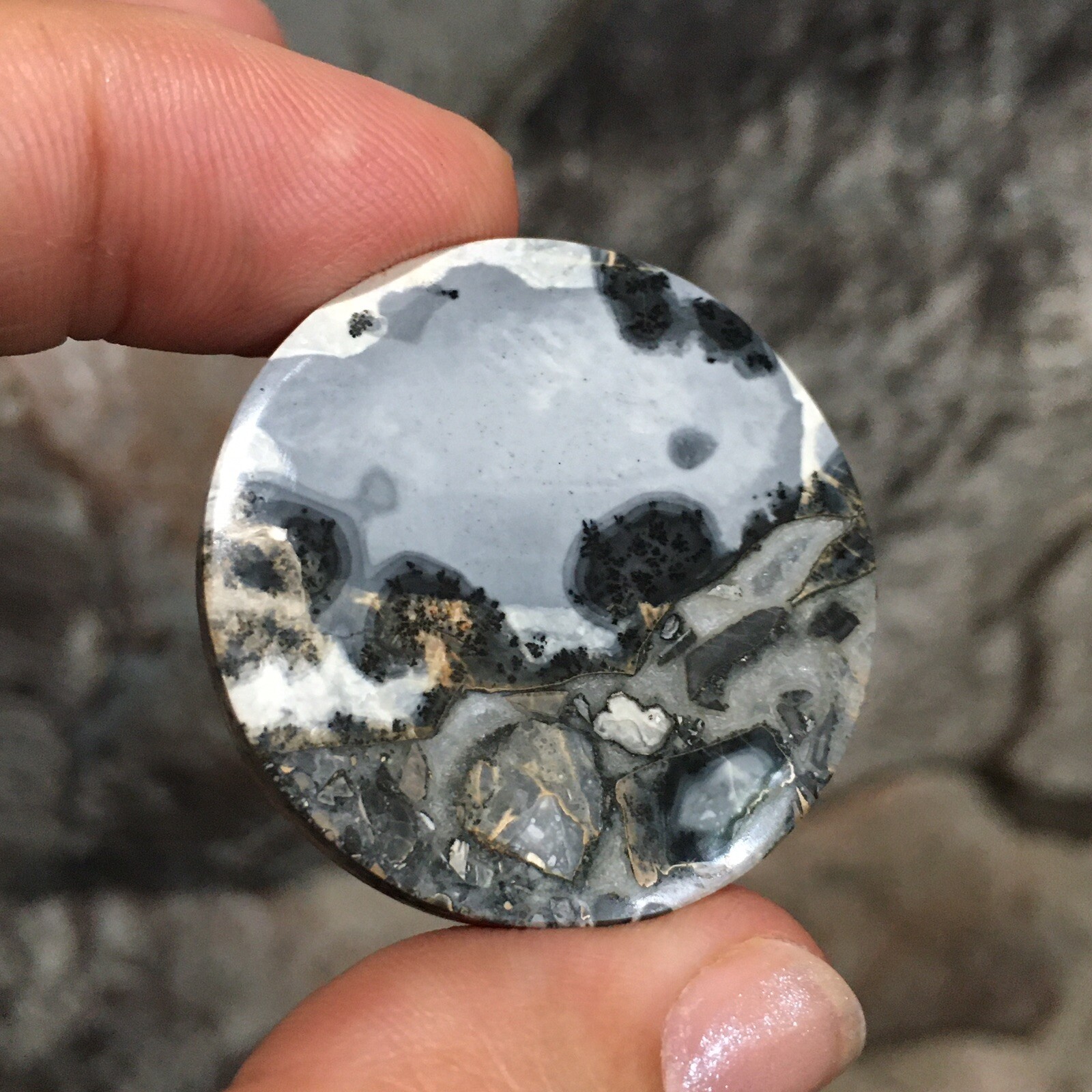 35×5.5mm Collectors’ Fine Maligano Jasper Round Cabochon Picture Stone