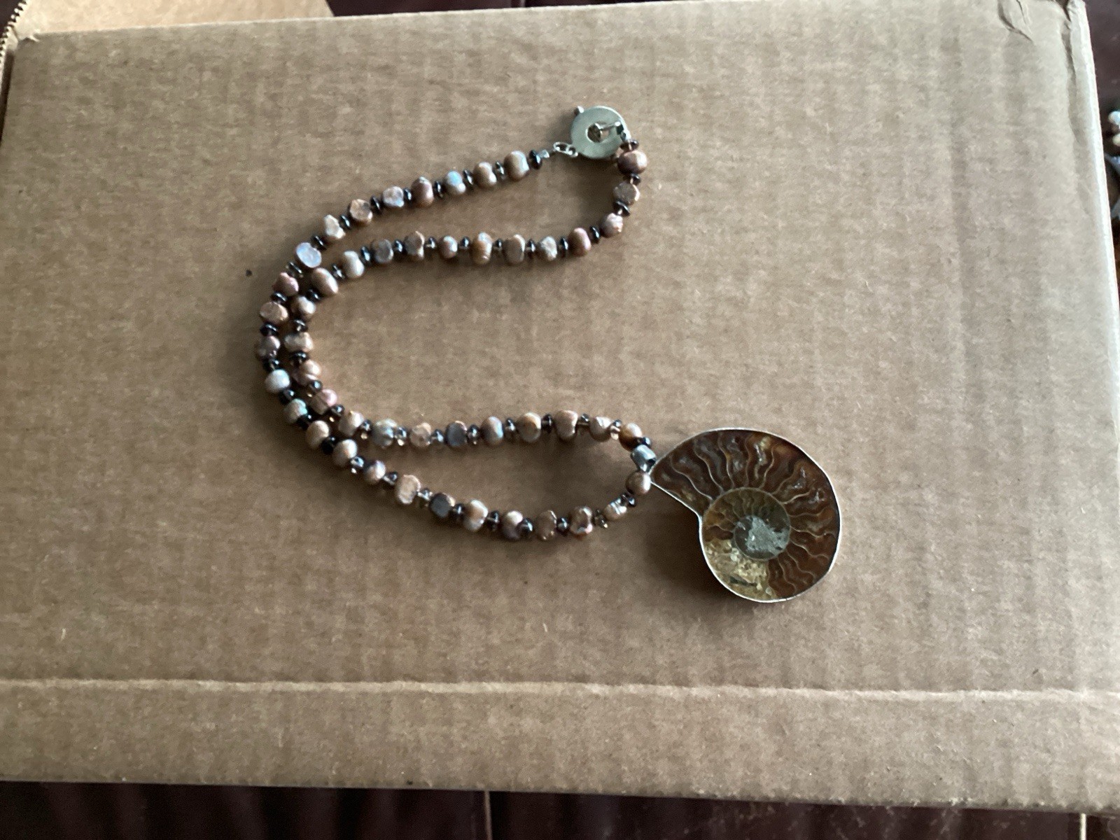 ammonite fossil necklace