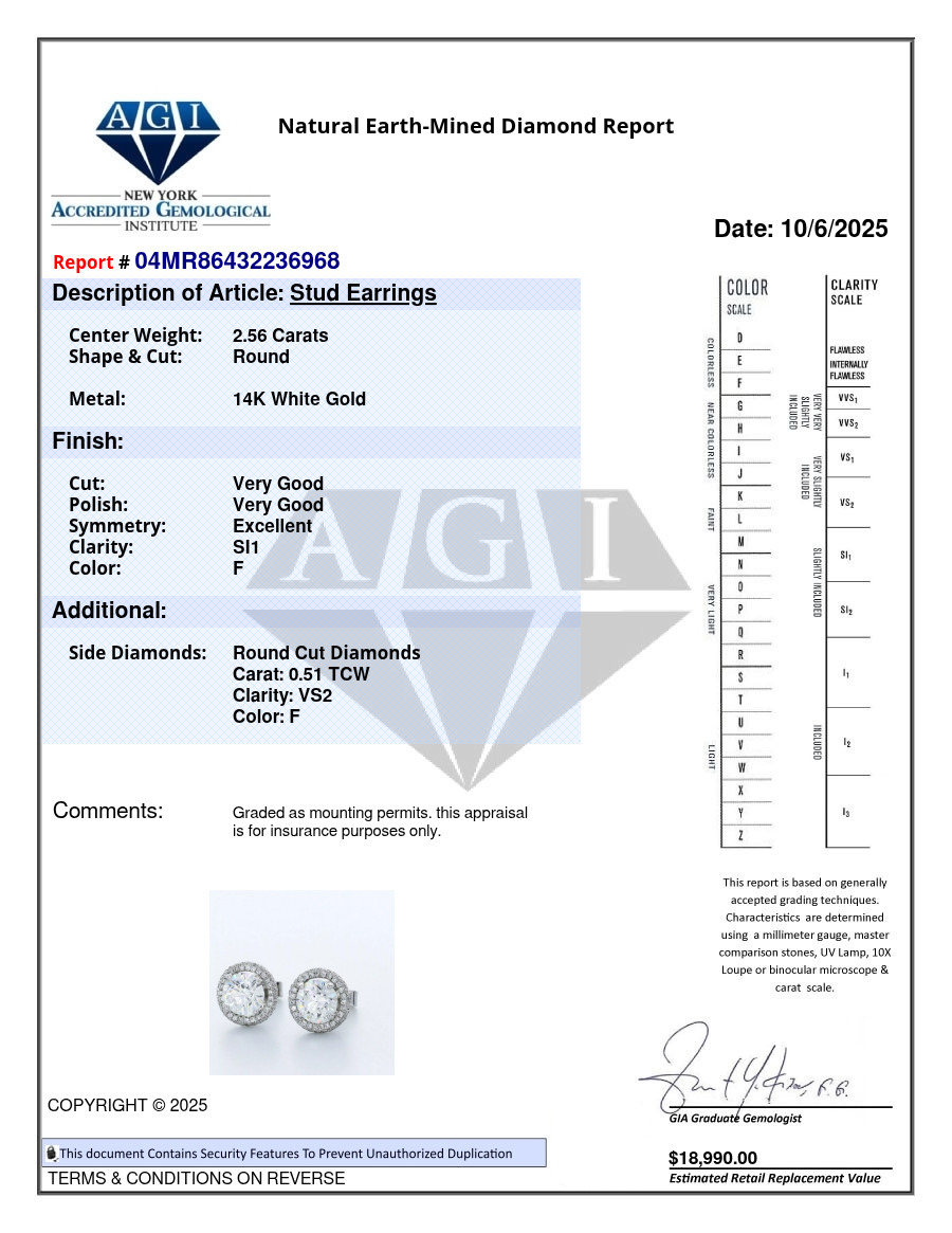 Stud Earrings Solid 14K White Gold Halo 3.07 Carat Round Natural Diamond F SI1