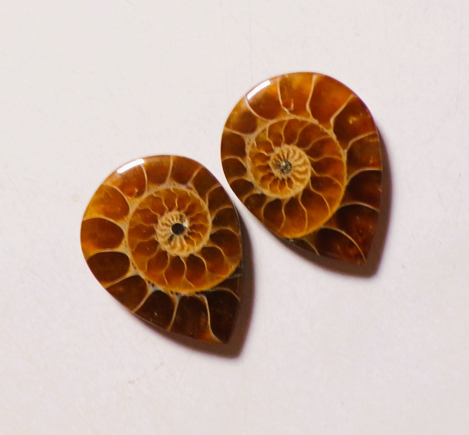 50.00 Cts Natural Ammonite Drilled Cabochon Match Pair Gemstone 29X22MM 208