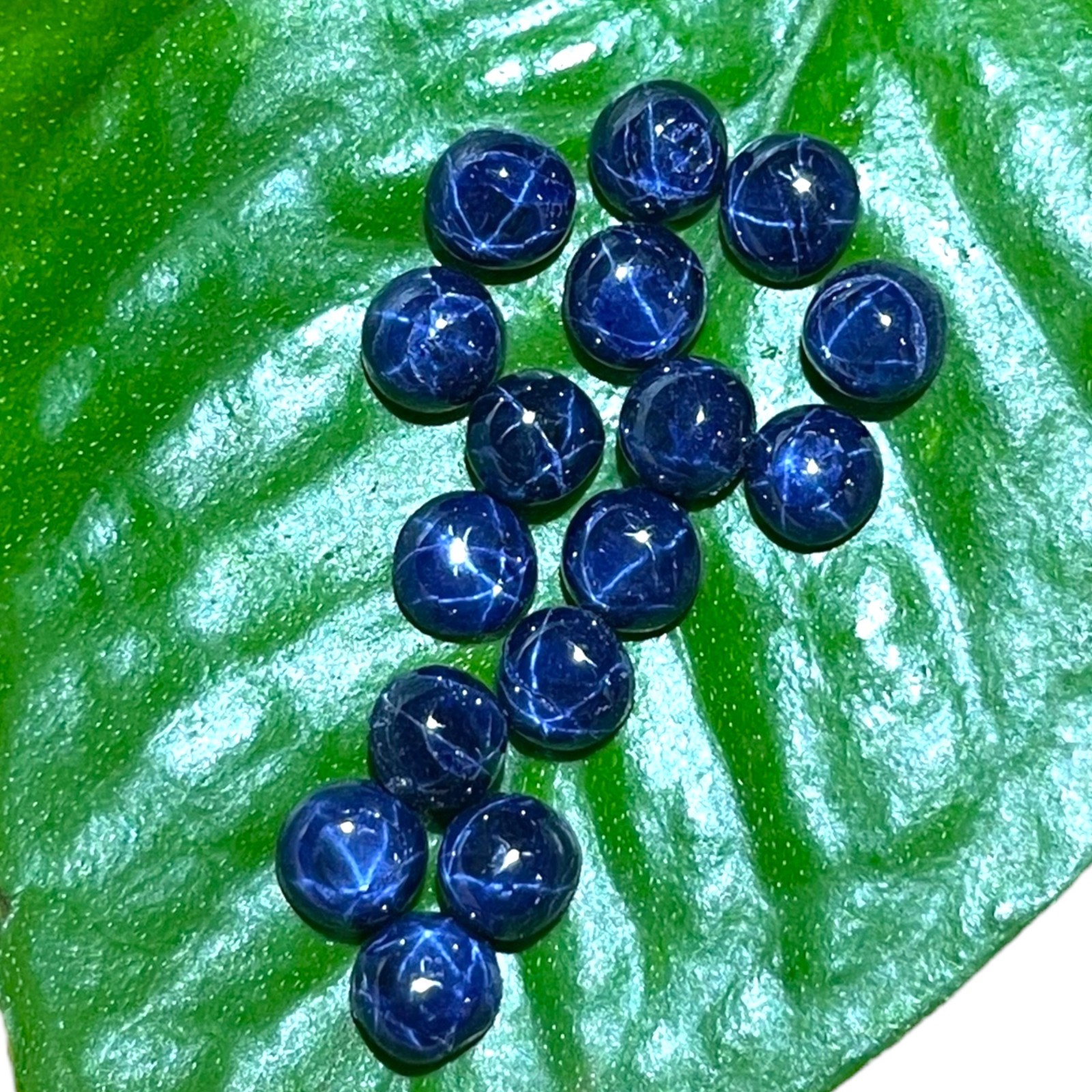 16 Pcs Natural Star Blue Sapphire 4mm Round Loose Cabochon Gemstones Lot