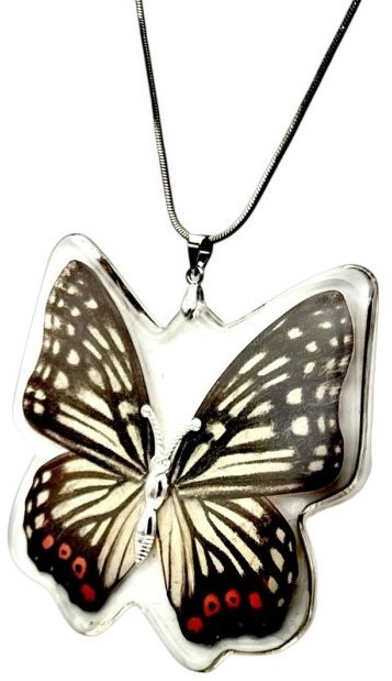 2 1/2″ NEW! Real INSECT White Black RED BUTTERFLY NECKLACE Jewelry PENDANT