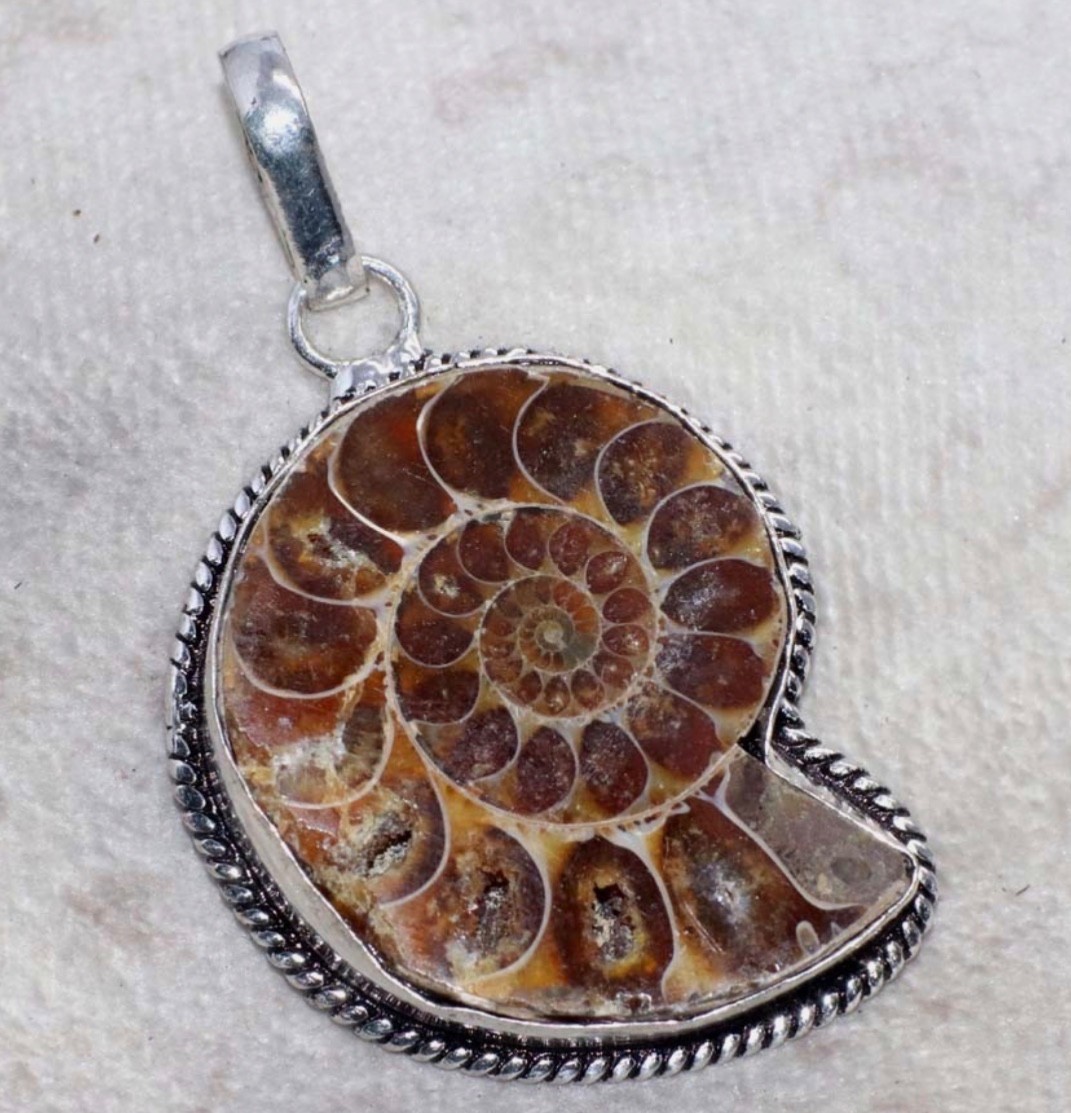 NATURAL Ammonite Fossil 925 Silver Pendant Spiral Shell 33x28mm FREE SHIPPING