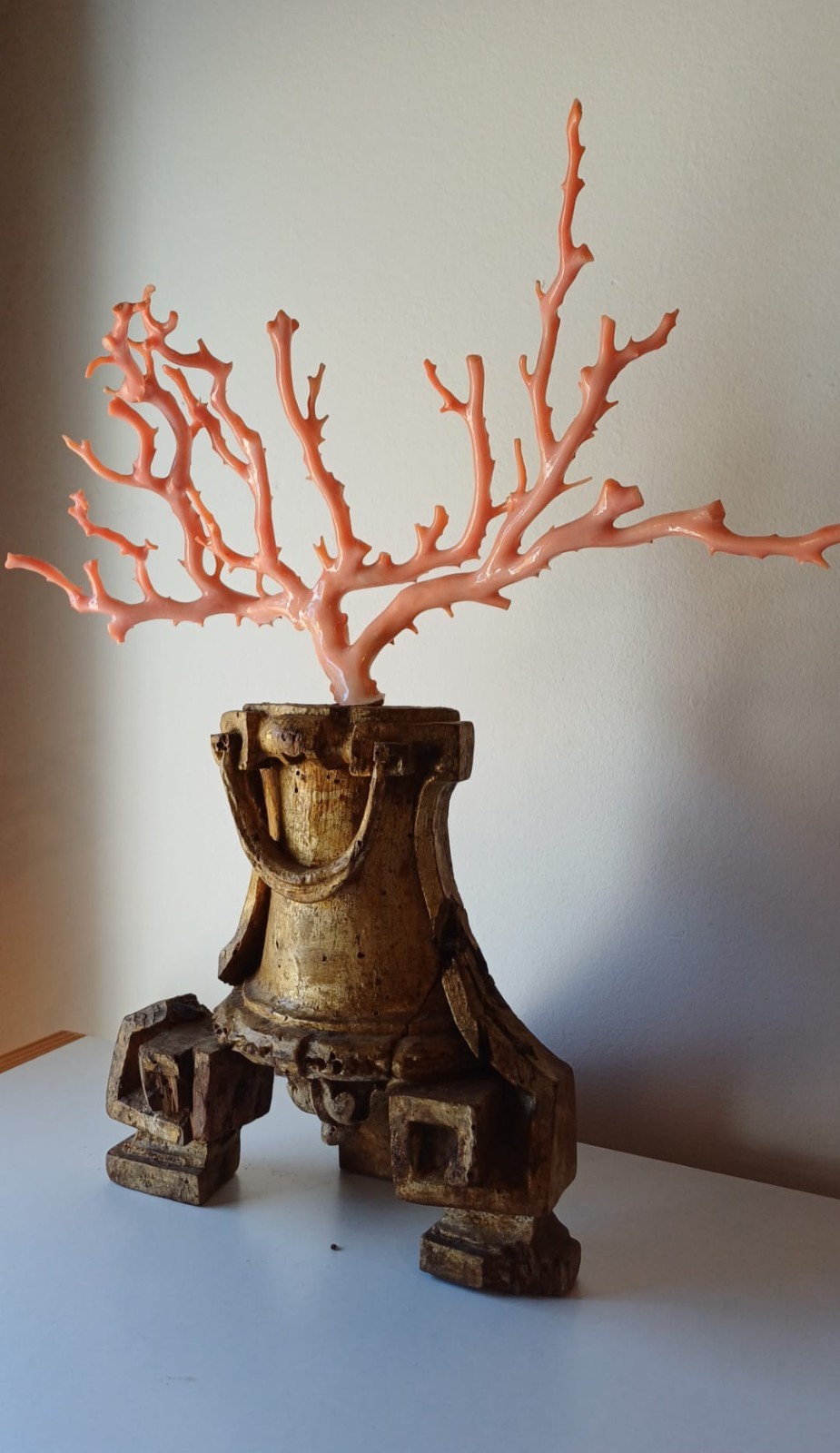 ANTIQUE CORAL BRANCH WITH GILDED WOODEN BASE