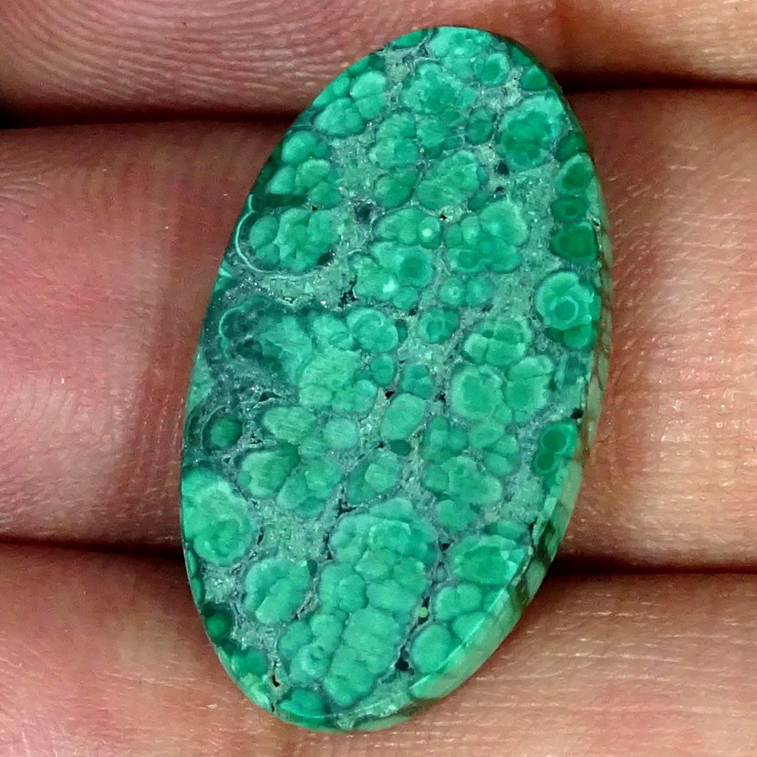 20.50Cts 100% Natural Royal Malachite Oval Cabochon Gemstone 15X26X4MM