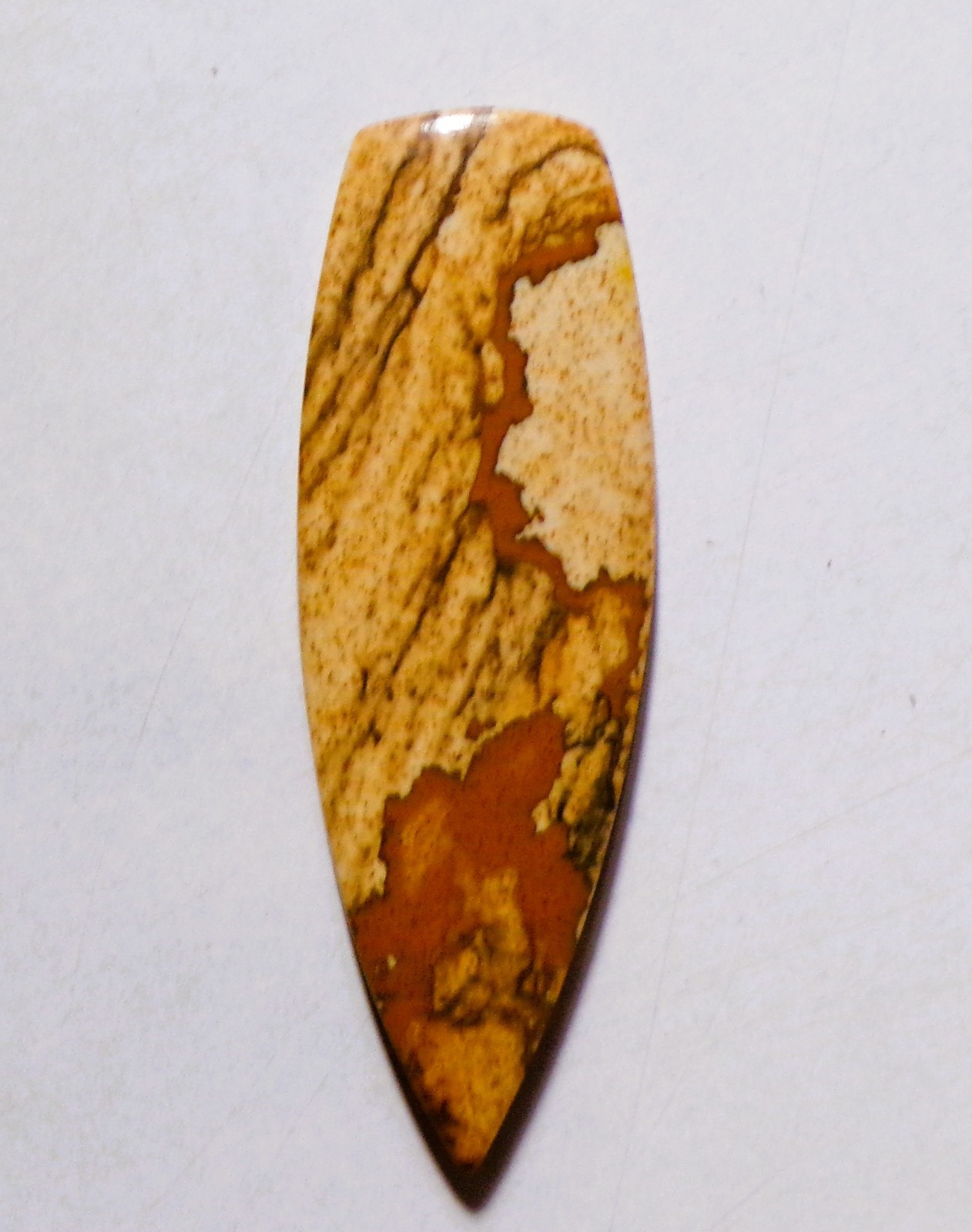 30.15 Cts Natural Picture Jasper Cabochon Loose Gemstone 50.4X17X5MM