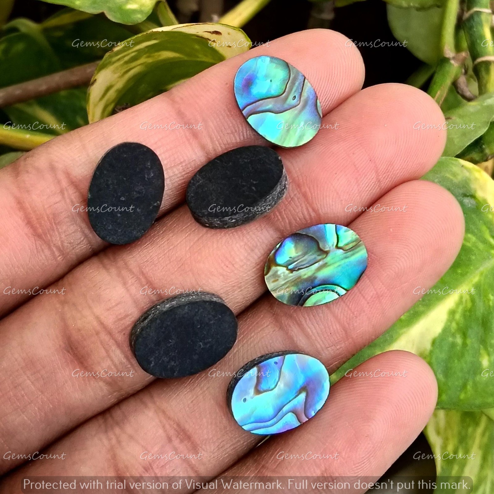 Natural Abalone Shell Flat Back Oval Cabochon Loose Gemstone 5x7mm-15x20mm