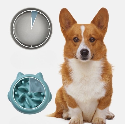 Pet Dog Cat Slow Feeder Bowls Anti Choking Slow Feeder Dish Bowl Home Dog Eating
