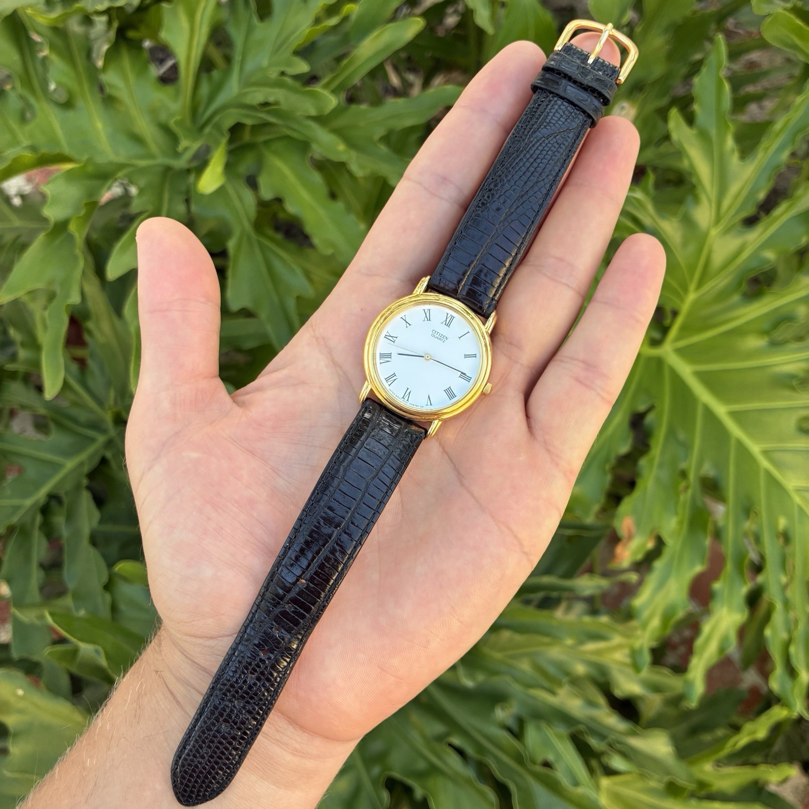 BEAUTIFUL Citizen Men’s Classic Dress Watch