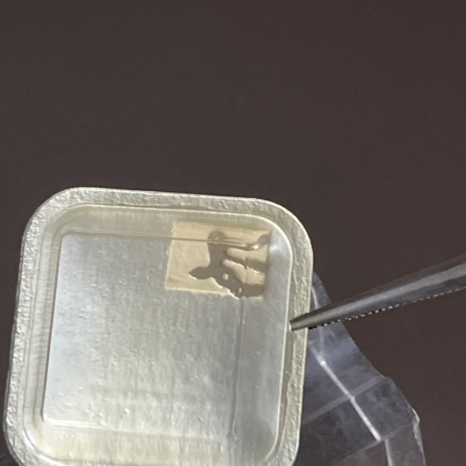 Bulova Watch Movement Part 28 Set Bridge cal. 6 CL – 2 Genuine Sealed