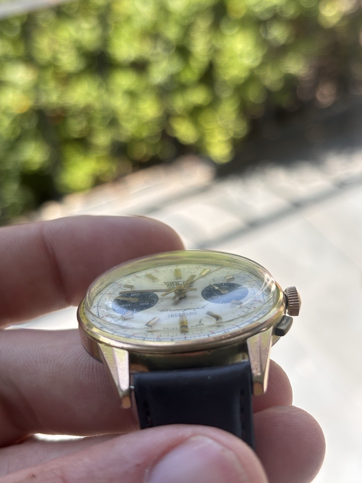 Fully Serviced! 1960s Vintage Valjoux 7733 Chronograph, Walux Geneve, Panda