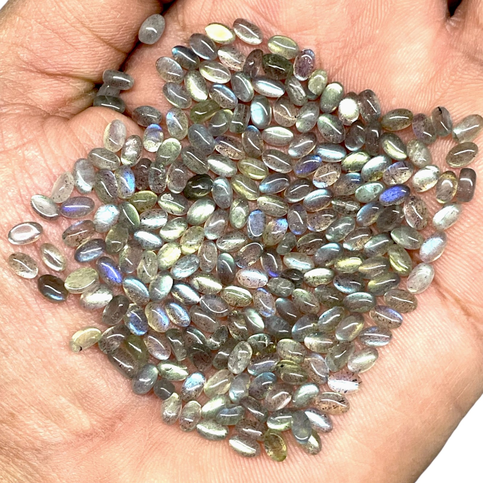 200 Pcs Natural Labradorite 5x3mm Oval Flashy Loose Gemstones Wholesale Lot