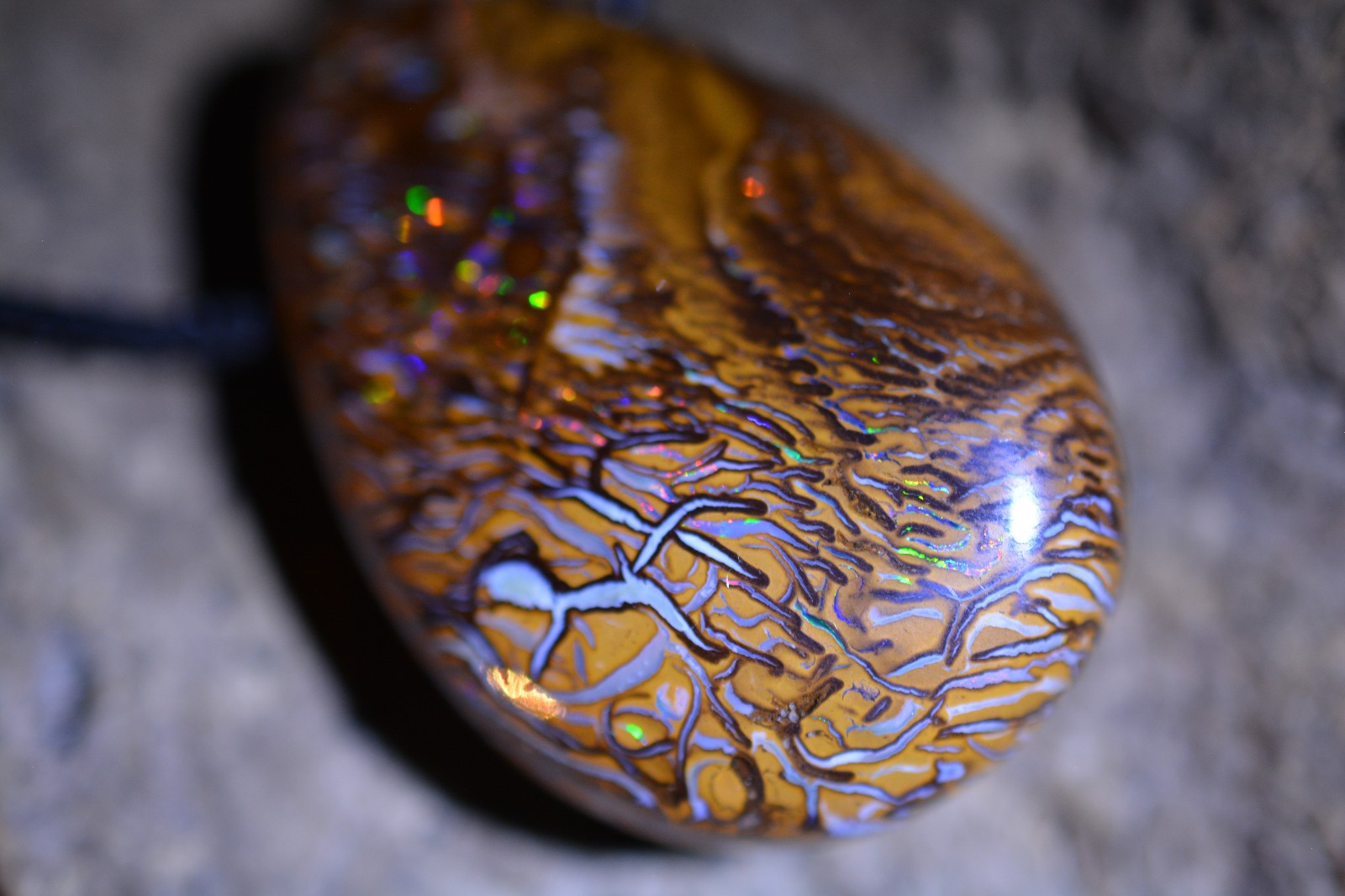 81ct 35x25x11 Nice Multicolor Koroit Nut Boulder Matrix Opal Australia gem
