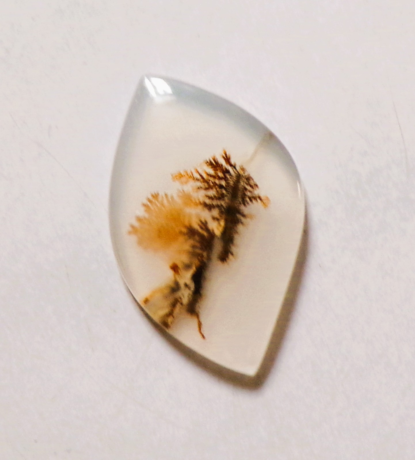 7.60 Cts Natural Shazar Dendritic Agate Cabochon Loose Gemstone 24X15X3MM 48