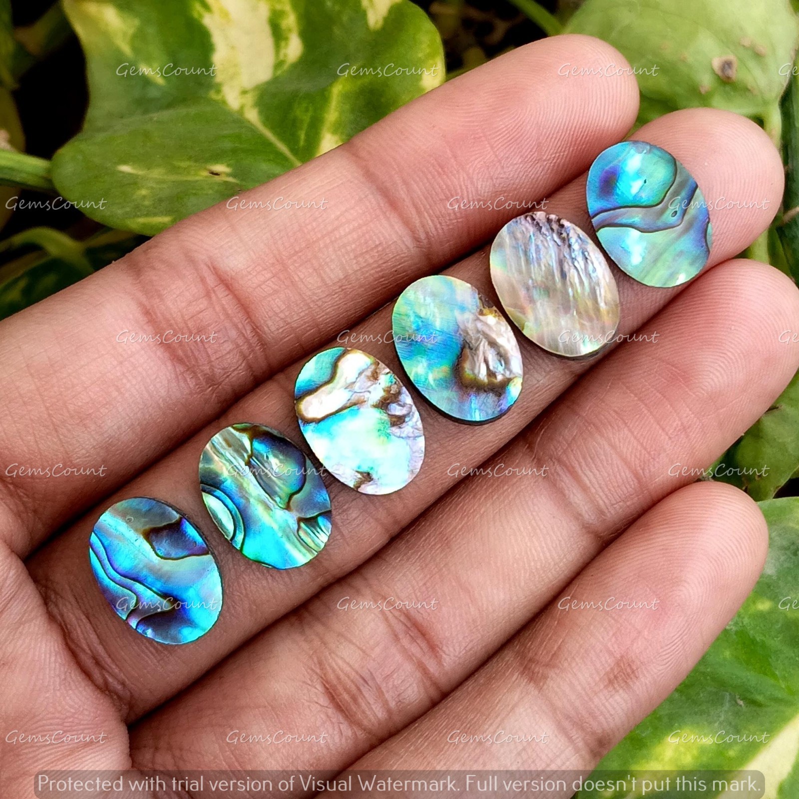Natural Abalone Shell Flat Back Oval Cabochon Loose Gemstone 5x7mm-15x20mm