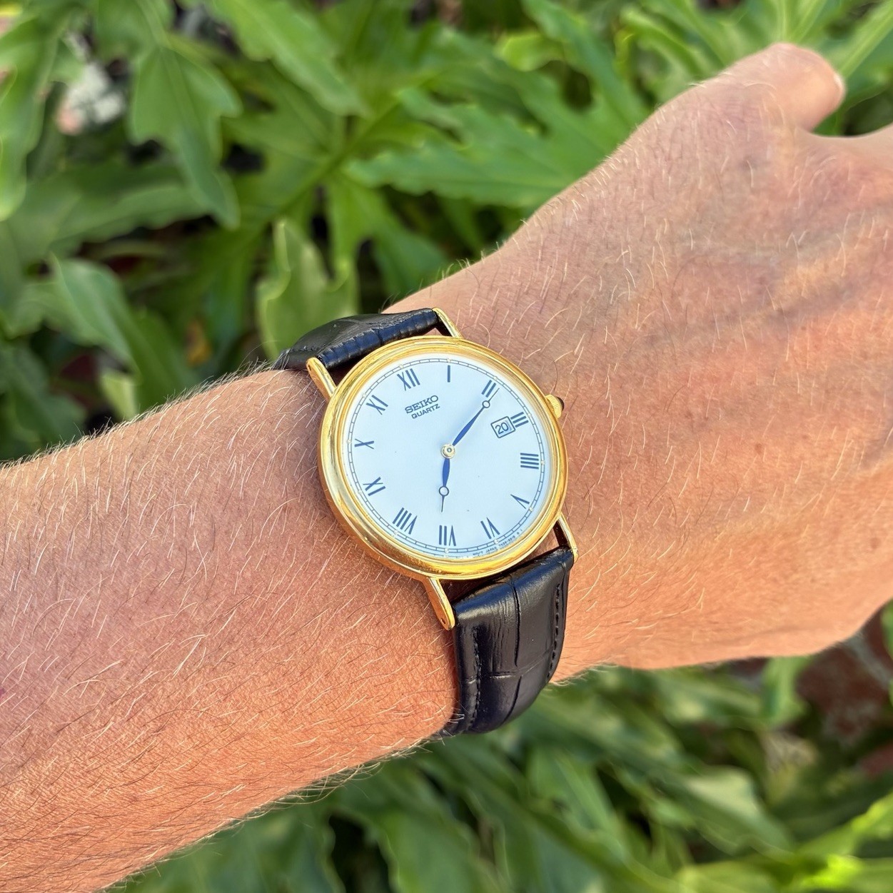 BEAUTIFUL Seiko Men’s Classic Dress Watch