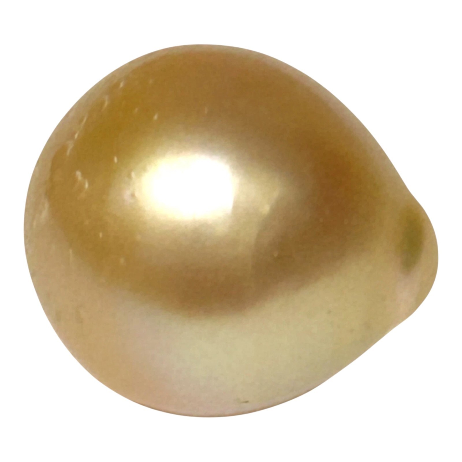 Smooth 13.8 x 15.4mm 19.5 Carat Natural Rich Golden Philippines South Sea Pearl