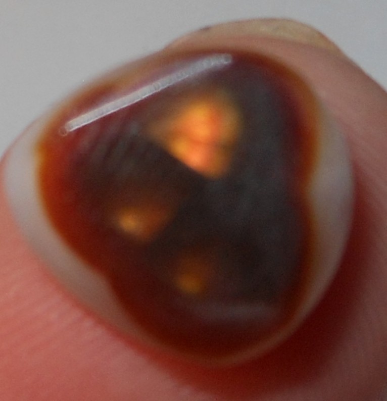 7.50ct Mexican Fire Agate 13.1mm x 11.6mm x 5.6mm