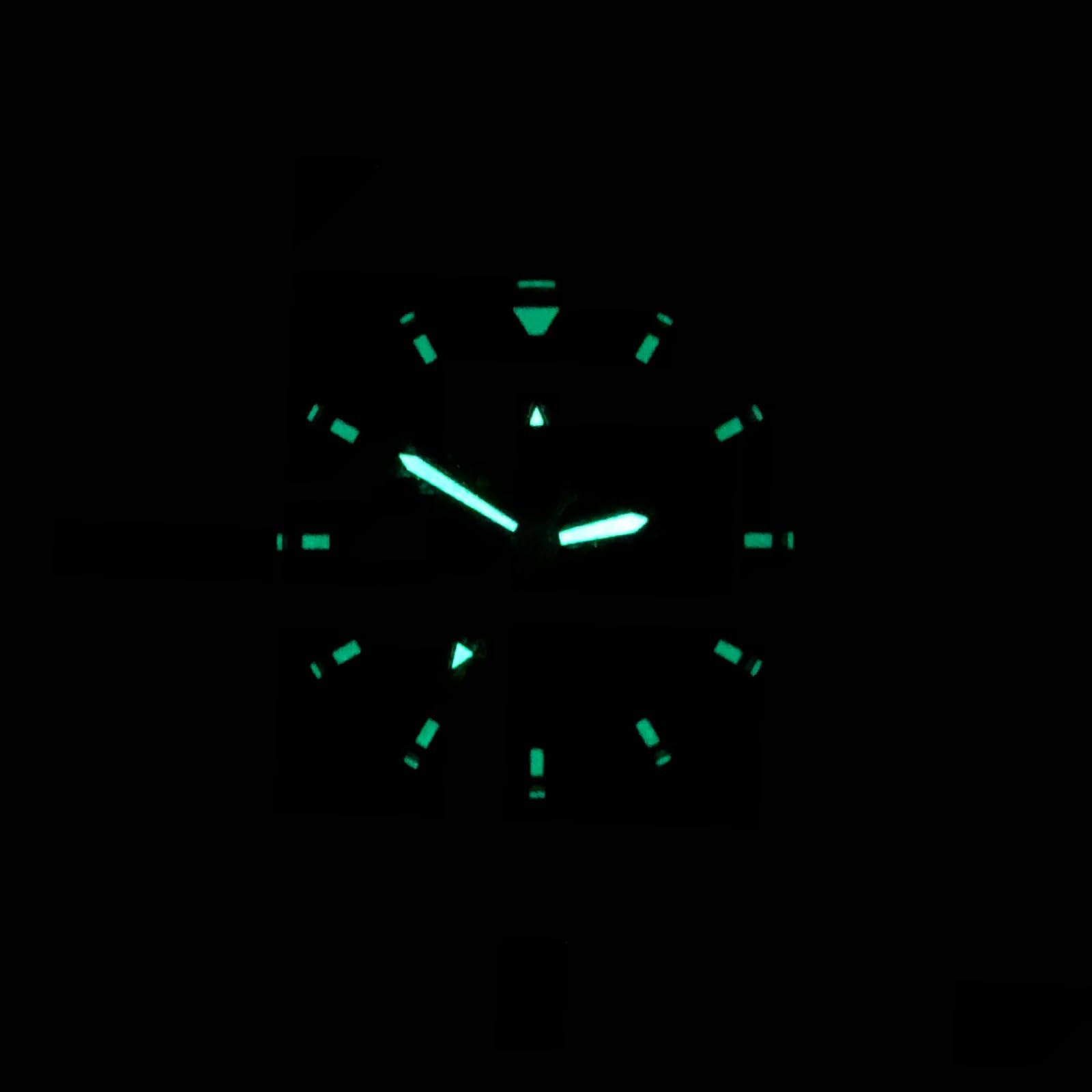 Bertucci A-2TR Field Pro GMT Black dial- #123 Defender Olive nylon band Watch