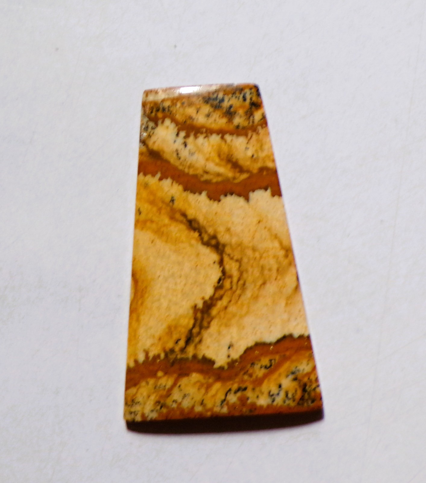 28.90 Cts Natural Picture Jasper Cabochon Loose Gemstone 40X24X4MM