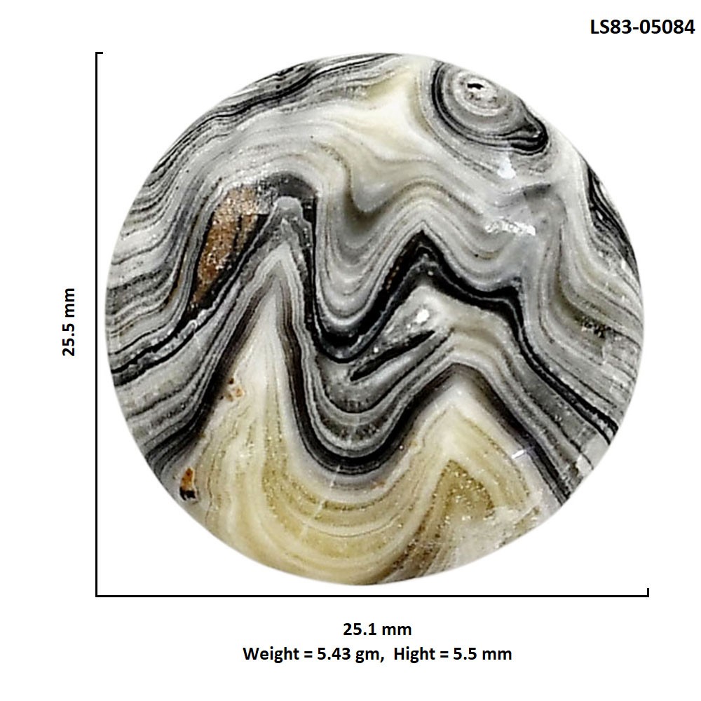 Natural Prairie Agate 25.1×25.5×5.5 mm Round Shape Polished Gemstone LS83-05084