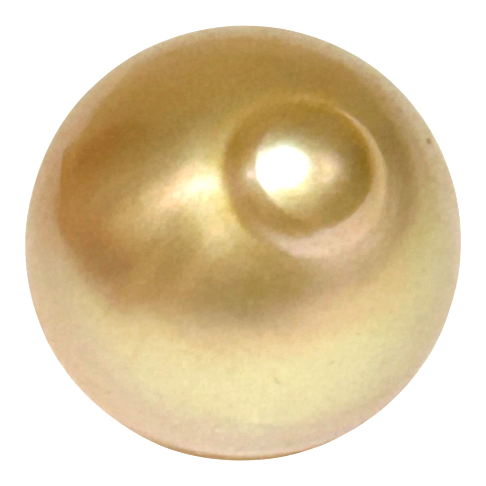 Smooth 13.8 x 15.4mm 19.5 Carat Natural Rich Golden Philippines South Sea Pearl